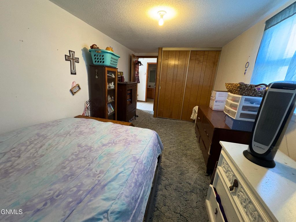 113 3rd Street S, Ellendale, ND 58436 photo 12