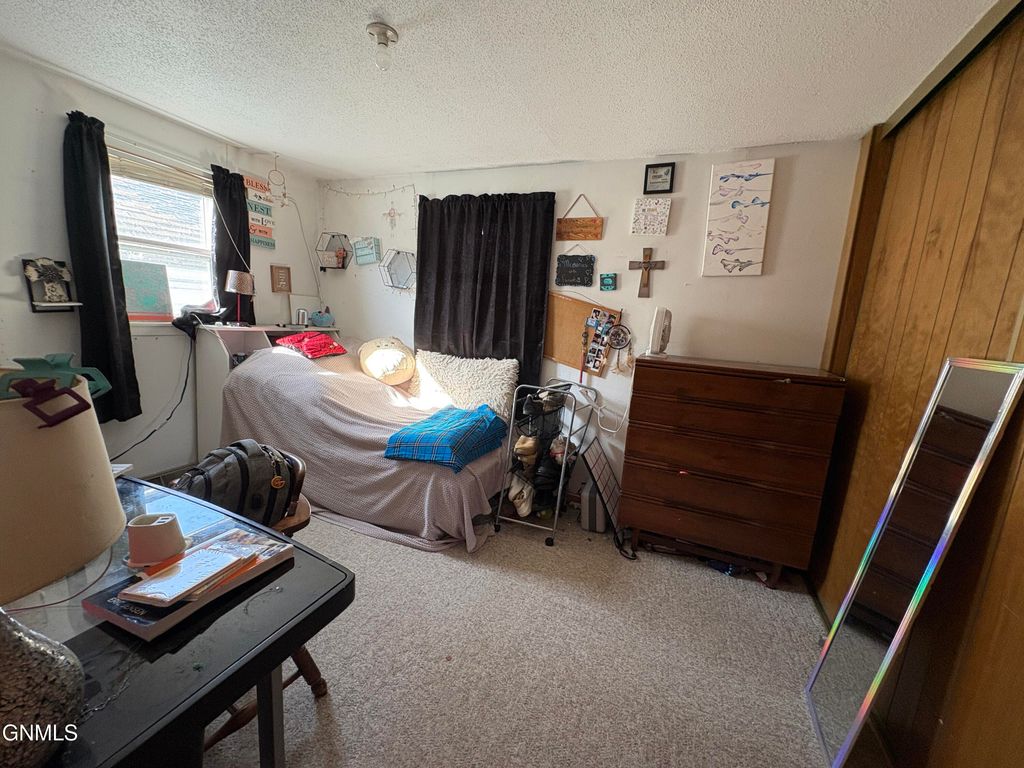 113 3rd Street S, Ellendale, ND 58436 photo 13