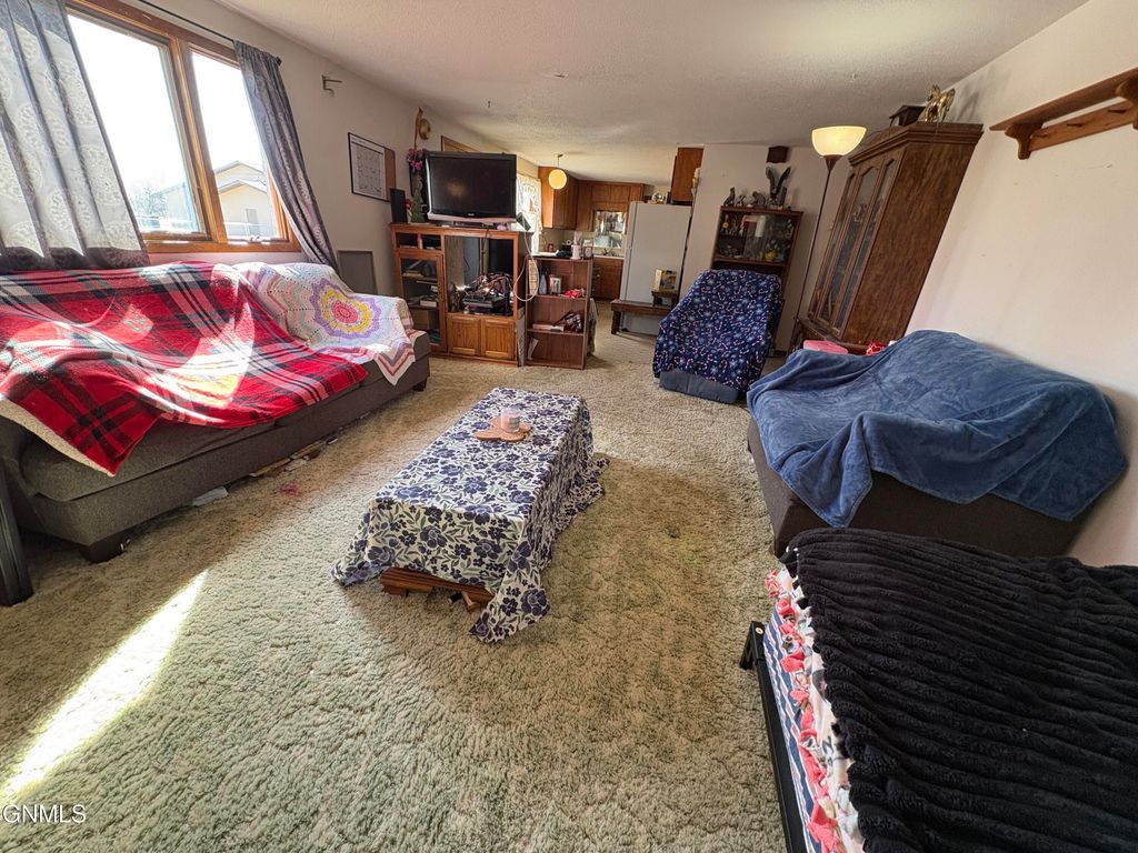 113 3rd Street S, Ellendale, ND 58436 photo 19