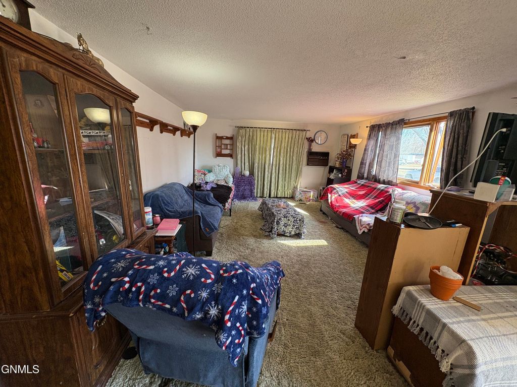 113 3rd Street S, Ellendale, ND 58436 photo 3