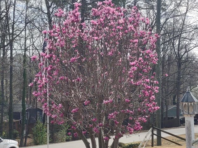 204 Kirvin Court, Knightdale, NC 27545