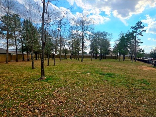 22410 Base Light Drive, Hockley, TX 77447