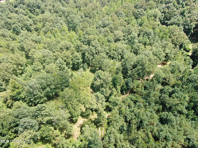 1980 Higdon Road, Holly Springs, MS 38635