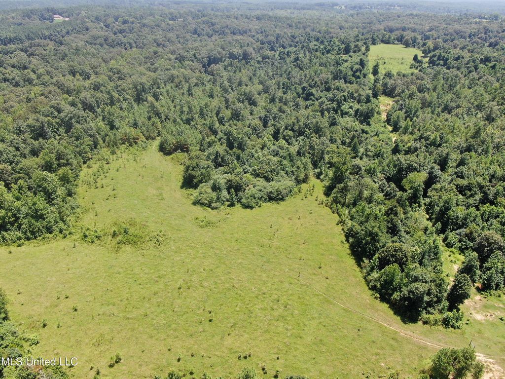 1980 Higdon Road, Holly Springs, MS 38635