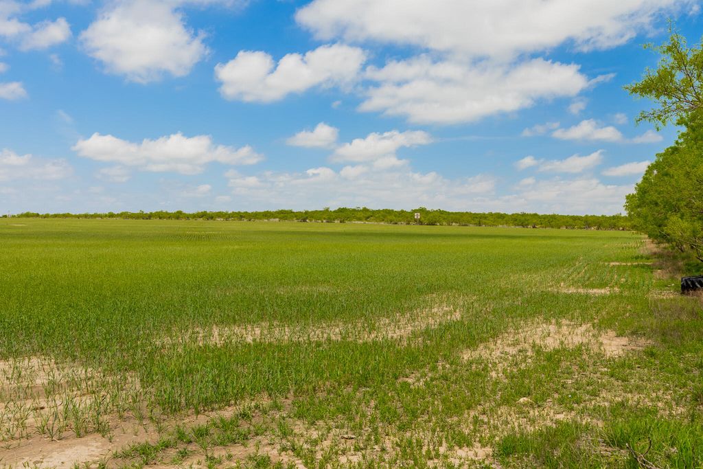 Image 43 of property listing at 817 County Road 130, Ballinger, TX 76821