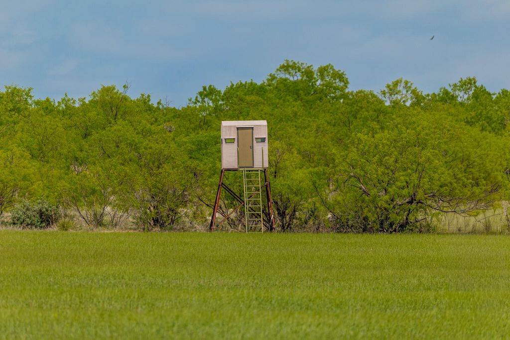 Image 45 of property listing at 817 County Road 130, Ballinger, TX 76821