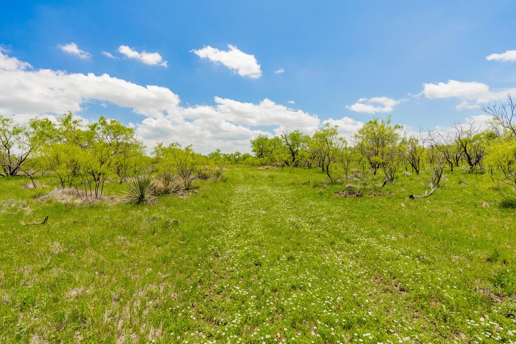 Image 47 of property listing at 817 County Road 130, Ballinger, TX 76821