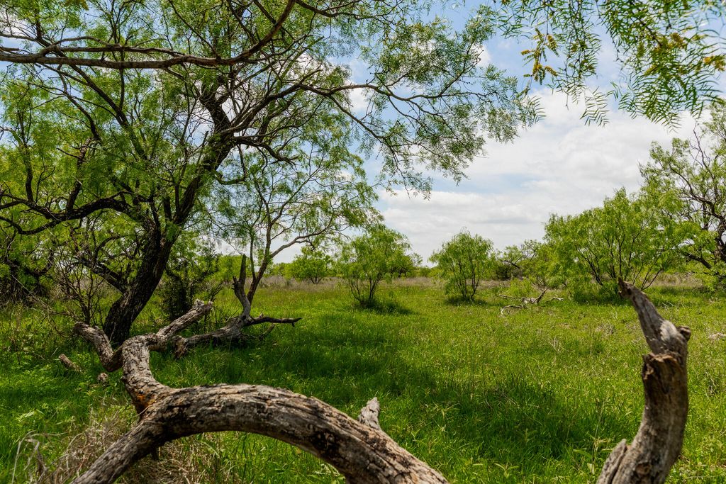 Image 49 of property listing at 817 County Road 130, Ballinger, TX 76821