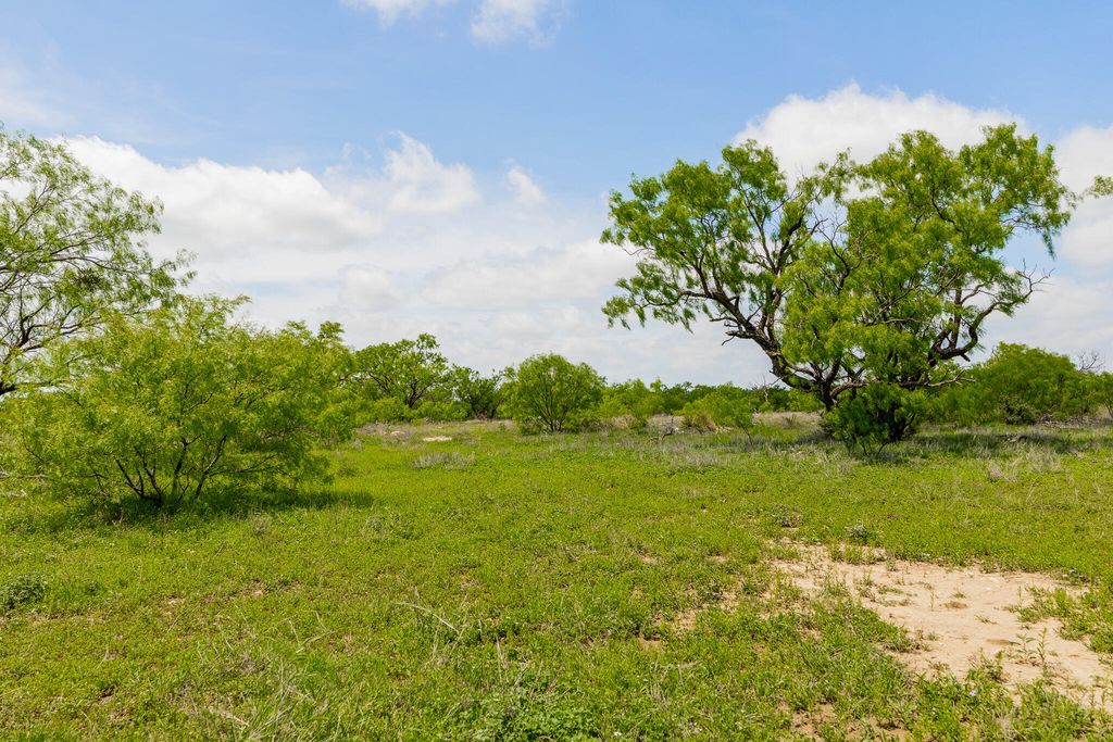 Image 50 of property listing at 817 County Road 130, Ballinger, TX 76821