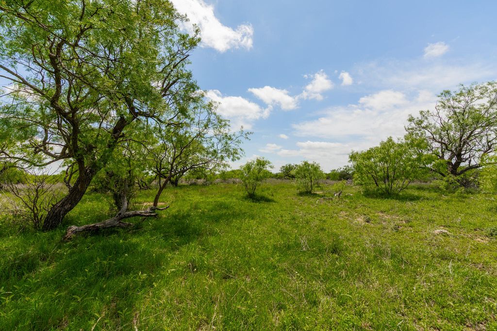 Image 51 of property listing at 817 County Road 130, Ballinger, TX 76821