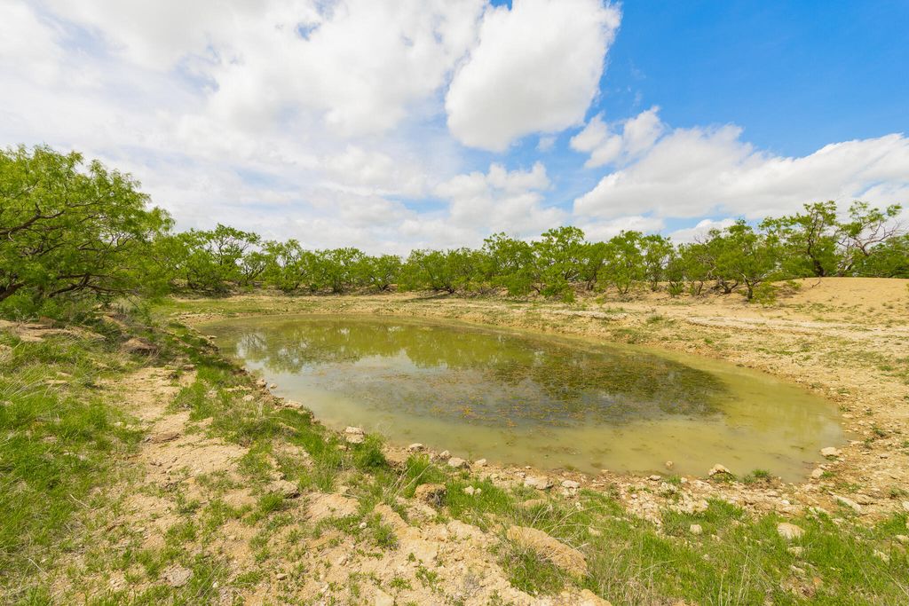 Image 53 of property listing at 817 County Road 130, Ballinger, TX 76821