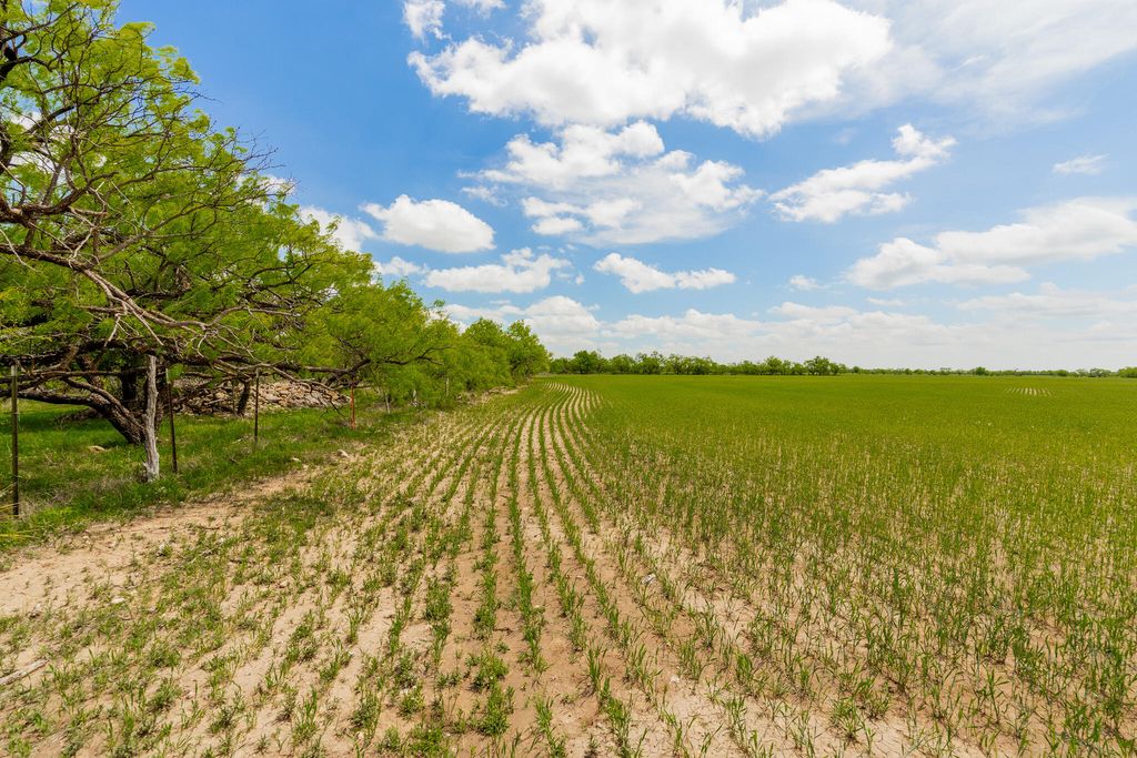 Image 54 of property listing at 817 County Road 130, Ballinger, TX 76821