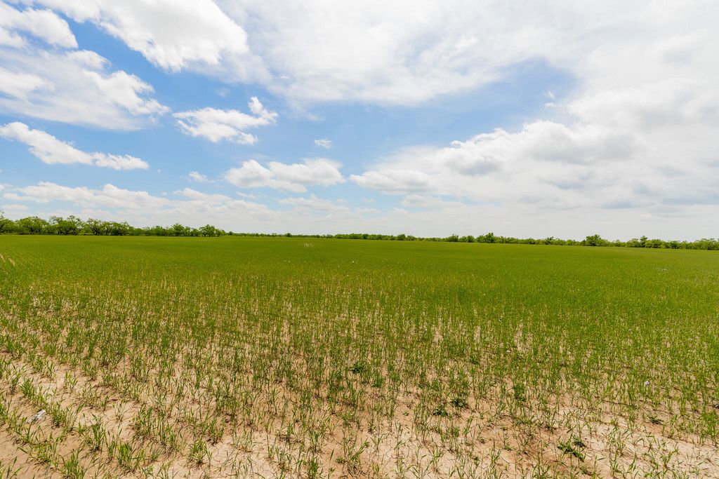 Image 55 of property listing at 817 County Road 130, Ballinger, TX 76821