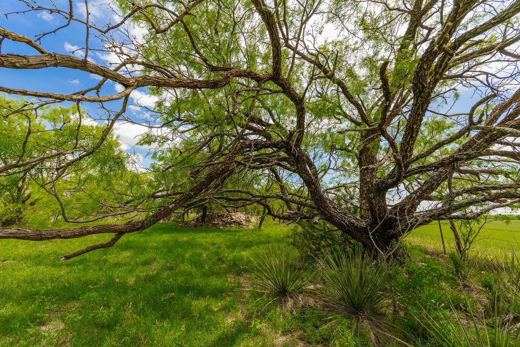Image 56 of property listing at 817 County Road 130, Ballinger, TX 76821