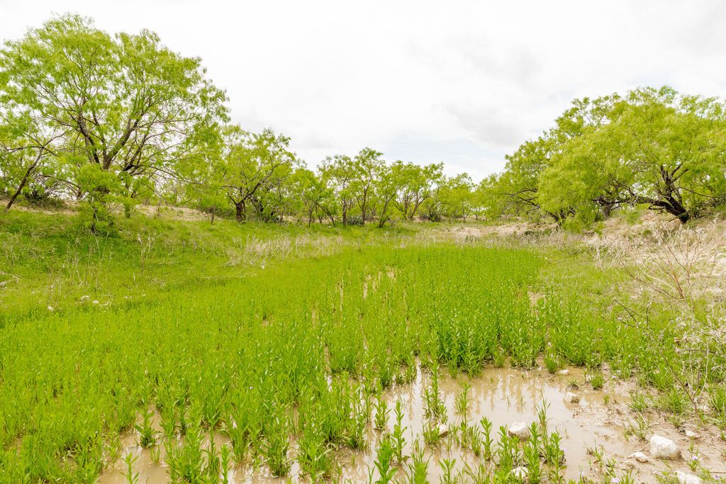 Image 59 of property listing at 817 County Road 130, Ballinger, TX 76821