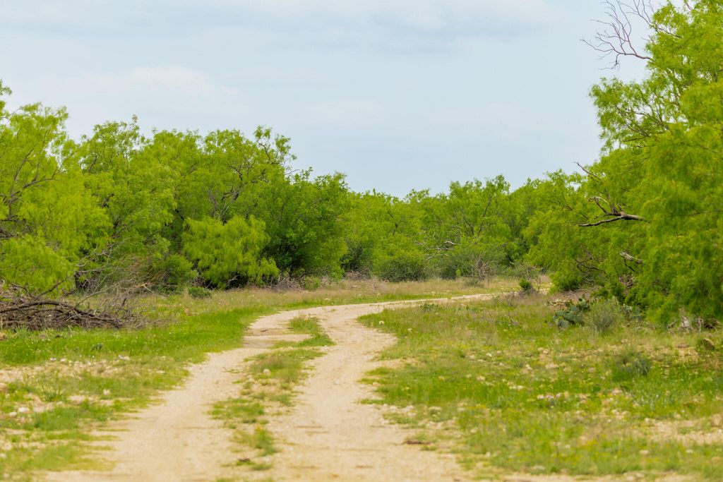 Image 61 of property listing at 817 County Road 130, Ballinger, TX 76821