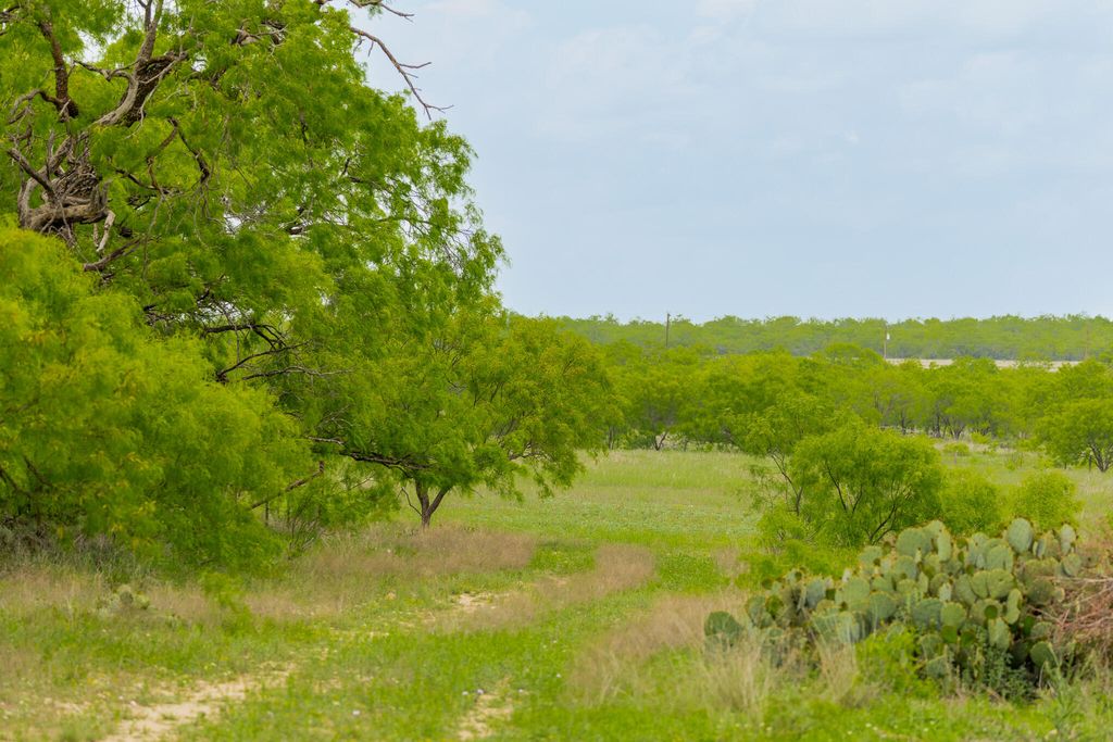Image 62 of property listing at 817 County Road 130, Ballinger, TX 76821