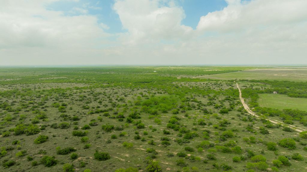 Image 71 of property listing at 817 County Road 130, Ballinger, TX 76821