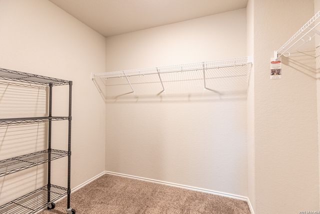 5810 MACHAELA TRCE, San Antonio, TX 78242
