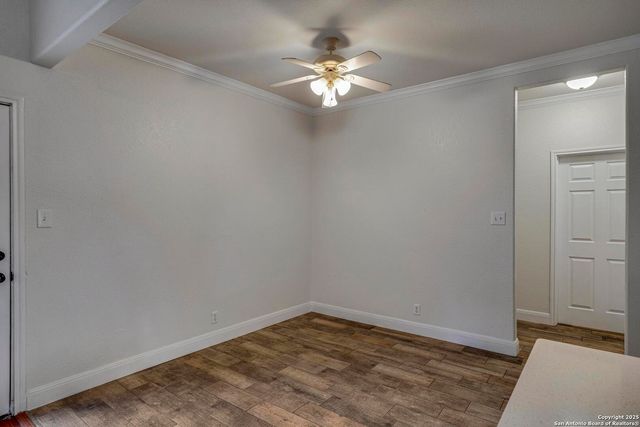15210 Fall Bluff, San Antonio, TX 78247