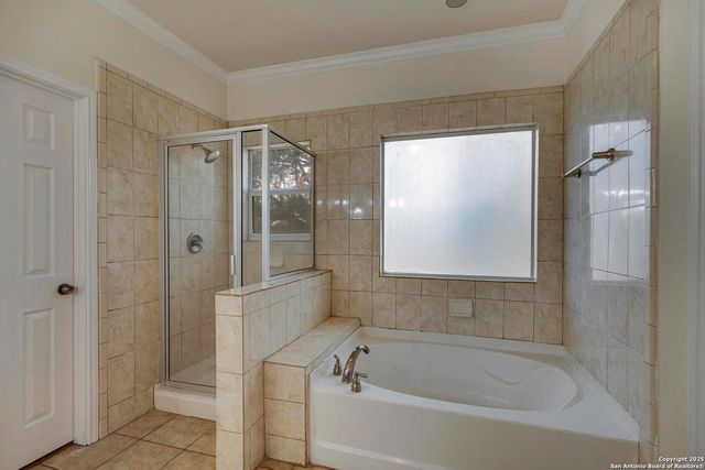 15210 Fall Bluff, San Antonio, TX 78247