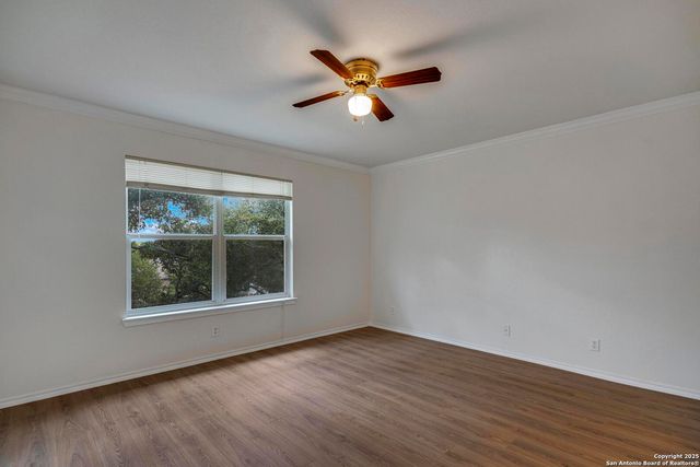 15210 Fall Bluff, San Antonio, TX 78247