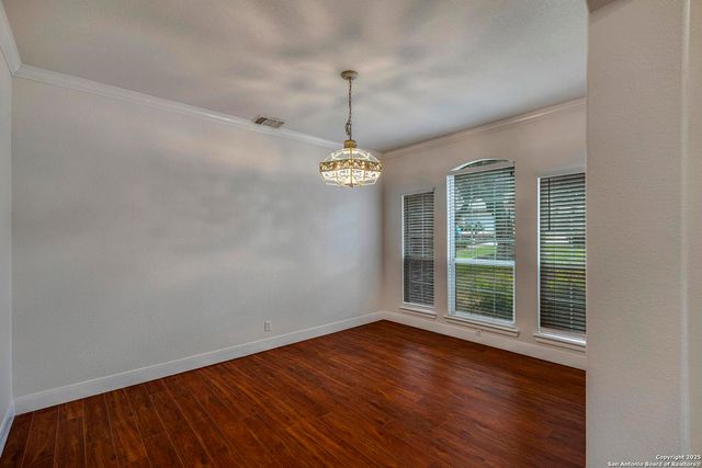 15210 Fall Bluff, San Antonio, TX 78247