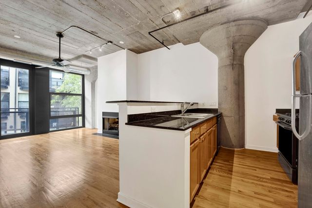 1151 W 14th Place 209, Chicago, IL 60608