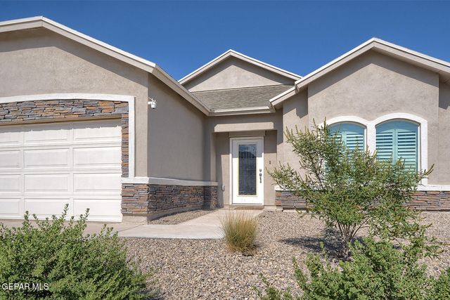 8217 HICKERSON Drive, Canutillo, TX 79835
