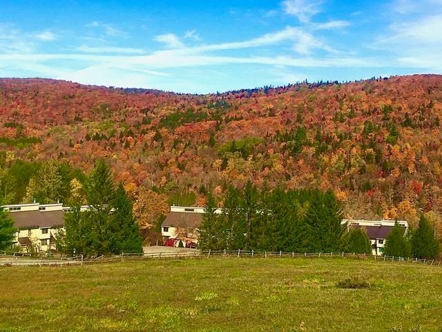 28E Crosstown Road, Dover, VT 05356