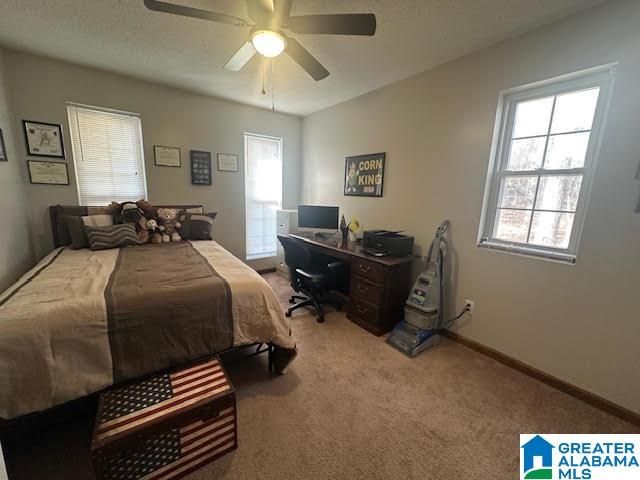 12523 EVE LOU AVENUE, Mccalla, AL 35111