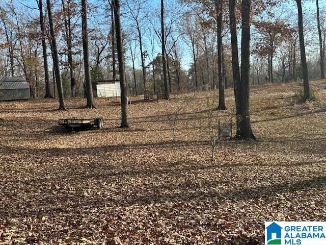 12523 EVE LOU AVENUE, Mccalla, AL 35111