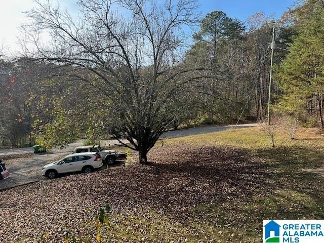 12523 EVE LOU AVENUE, Mccalla, AL 35111