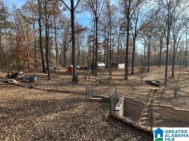 12523 EVE LOU AVENUE, Mccalla, AL 35111