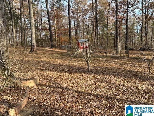 12523 EVE LOU AVENUE, Mccalla, AL 35111