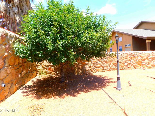 11233 RED BARREL Place, El Paso, TX 79934