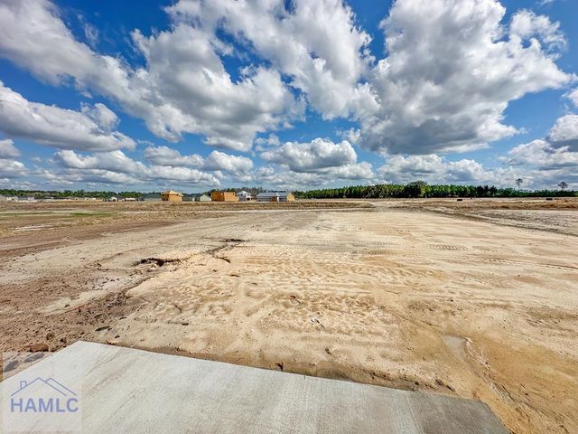 573 Doctor's Creek Road NE, Ludowici, GA 31316