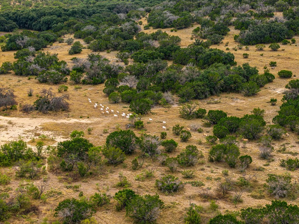 Image 41 of property listing at 1330 Private Rd 3337, Sonora, TX 76950