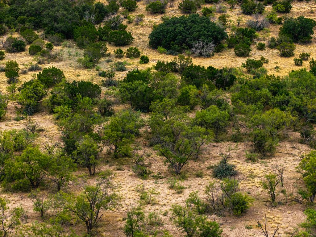 Image 47 of property listing at 1330 Private Rd 3337, Sonora, TX 76950