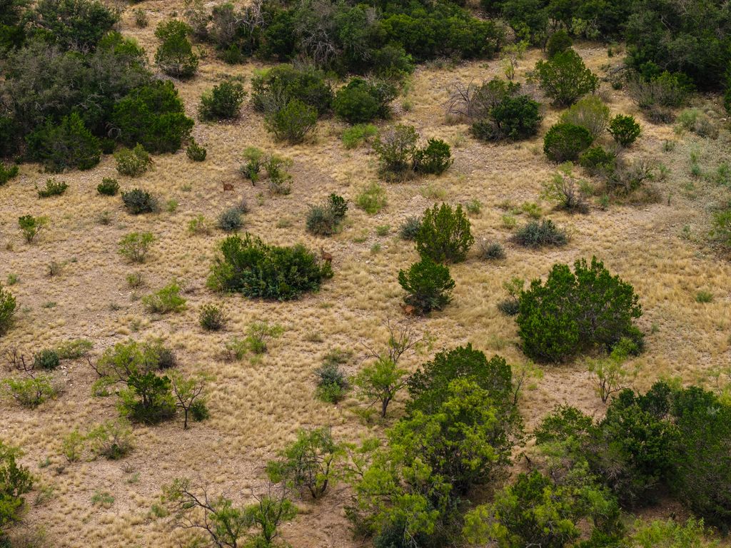 Image 48 of property listing at 1330 Private Rd 3337, Sonora, TX 76950