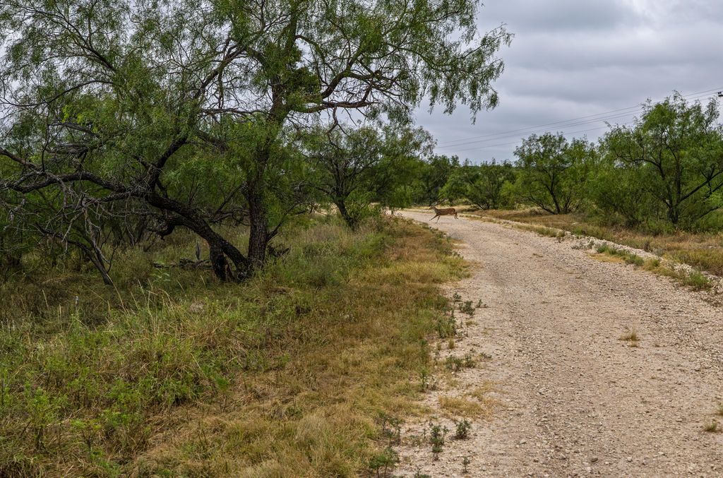 Image 78 of property listing at 1330 Private Rd 3337, Sonora, TX 76950