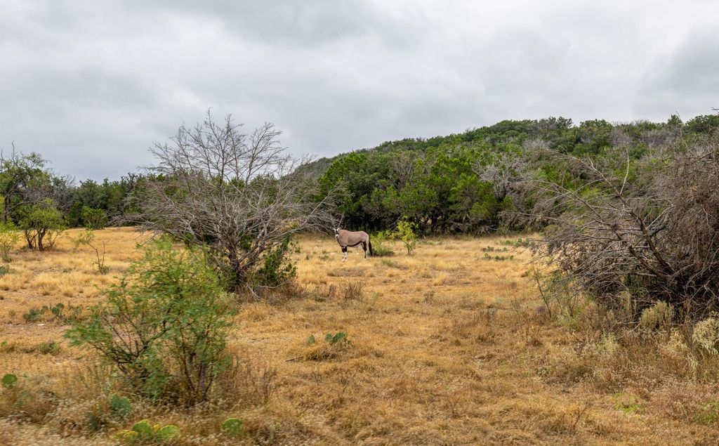 Image 79 of property listing at 1330 Private Rd 3337, Sonora, TX 76950