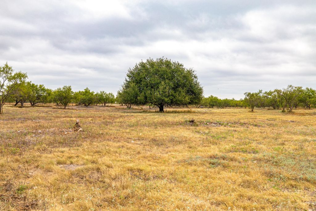 Image 94 of property listing at 1330 Private Rd 3337, Sonora, TX 76950