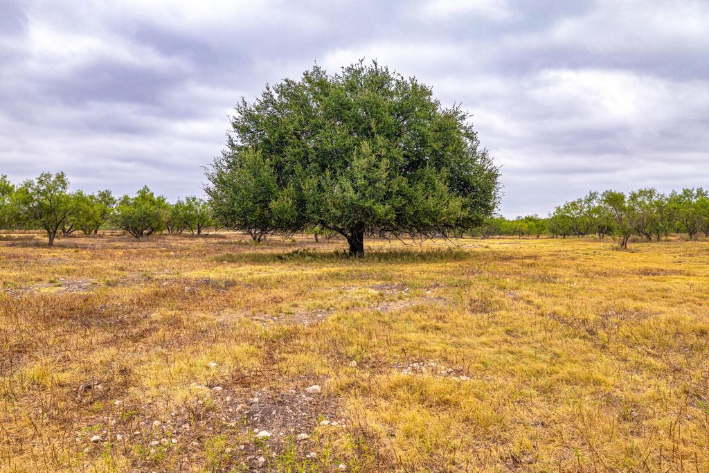 Image 95 of property listing at 1330 Private Rd 3337, Sonora, TX 76950