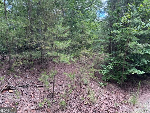 0 Owltown Road, Ellijay, GA 30536