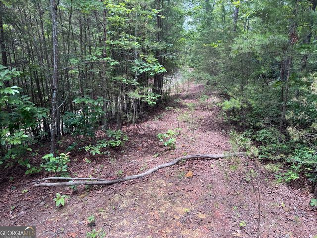 0 Owltown Road, Ellijay, GA 30536