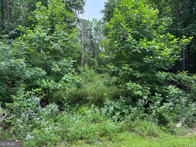 0 Owltown Road, Ellijay, GA 30536