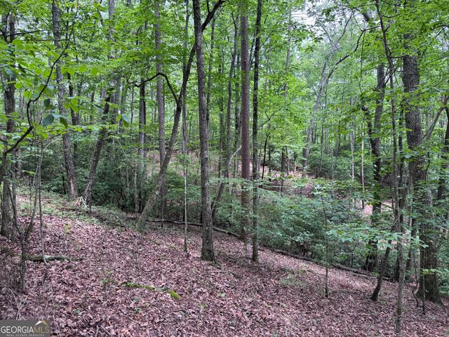 0 Owltown Road, Ellijay, GA 30536