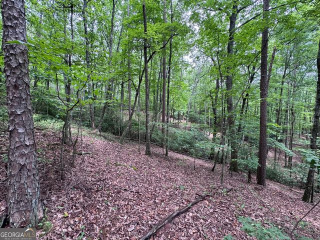 0 Owltown Road, Ellijay, GA 30536