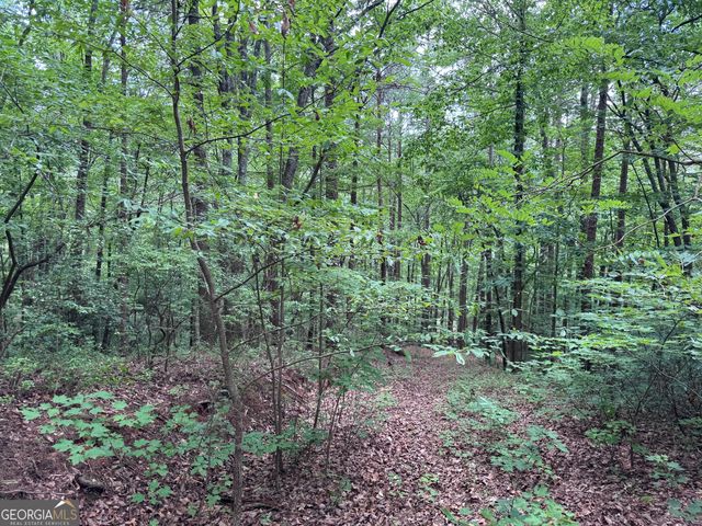 0 Owltown Road, Ellijay, GA 30536